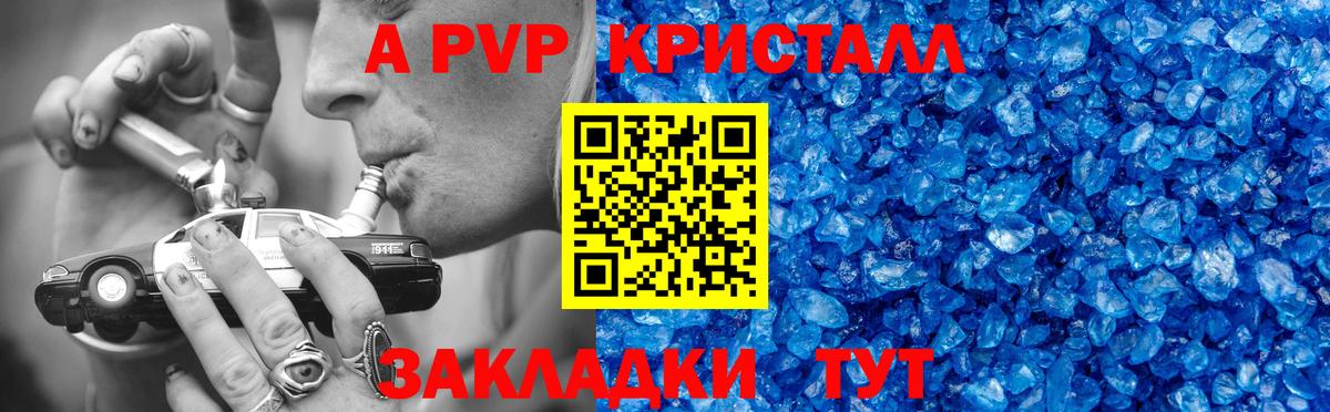A PVP СК КРИС Саров