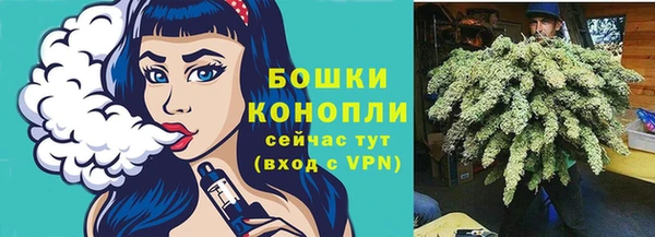эйфоретик Пересвет