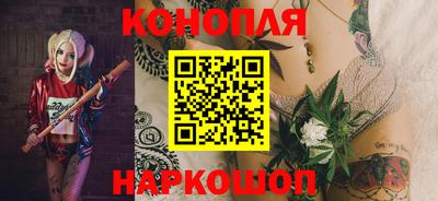 гашик Гусь-Хрустальный