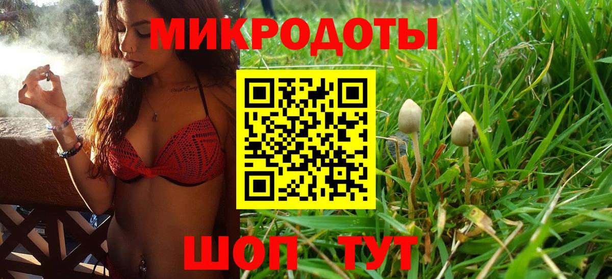 Саров  Галлюциногенные грибы Psilocybine cubensis  Вход с VPN  Псилоцибиновые грибы Cubensis 