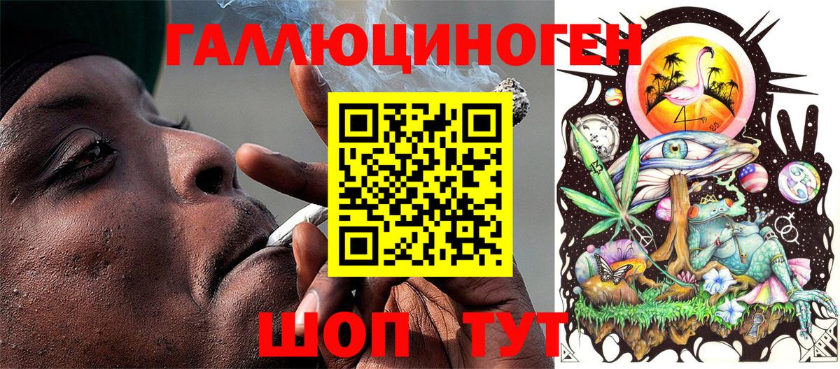 Псилоцибиновые грибы Cubensis Саров